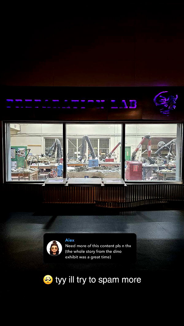 perfexiia snapchat image archive image