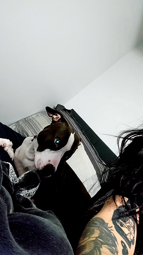 perfexiia snapchat image archive image