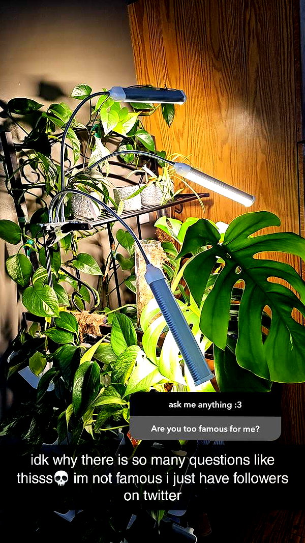 perfexiia snapchat image archive image