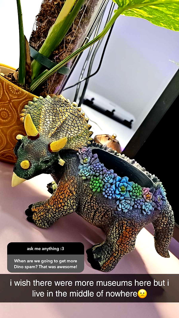 perfexiia snapchat image archive image