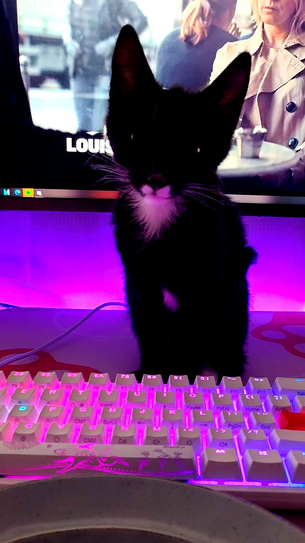 perfexiia snapchat image archive image