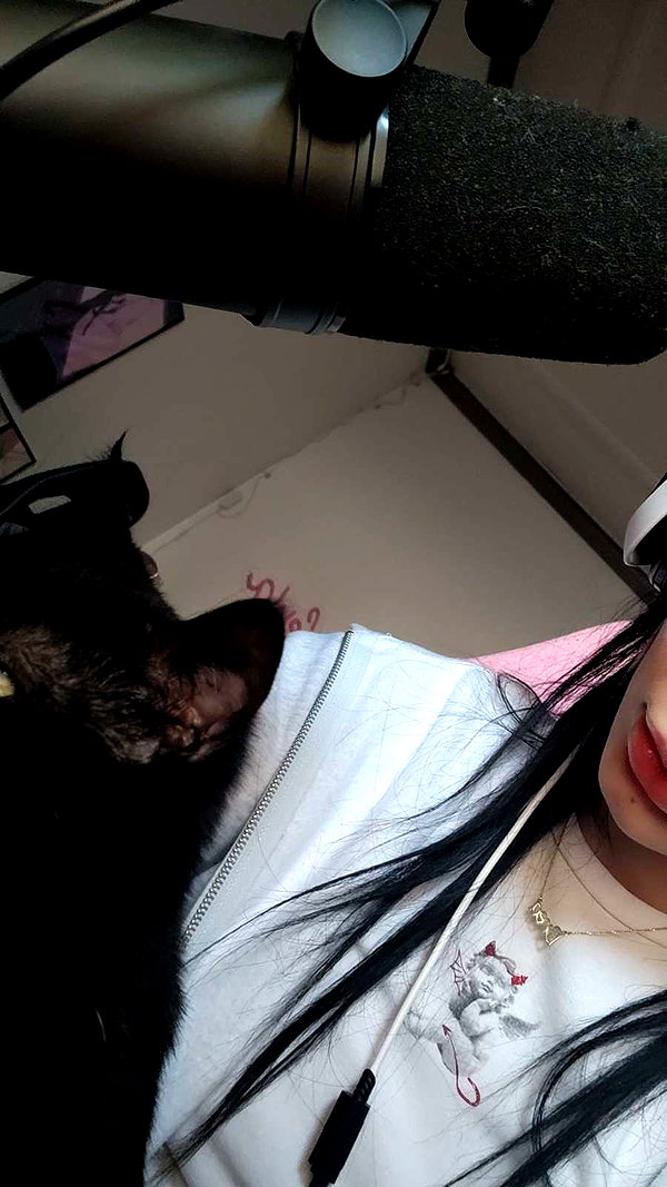 perfexiia snapchat image archive image