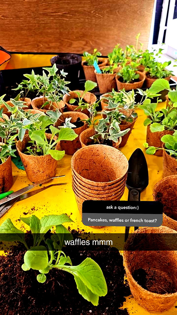 perfexiia snapchat image archive image