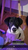 perfexiia Altpins Profile Picture