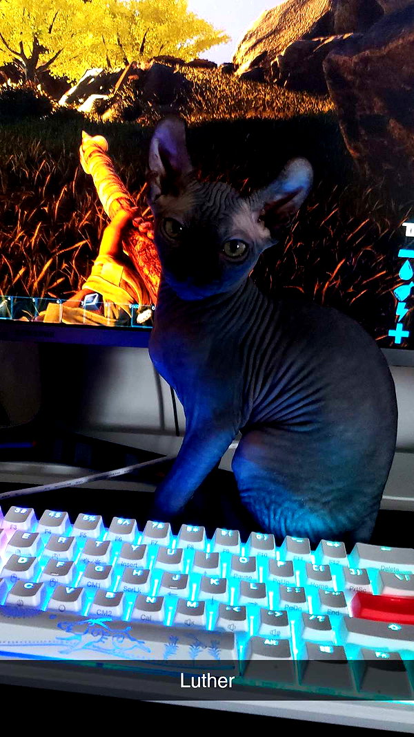 perfexiia snapchat image archive image