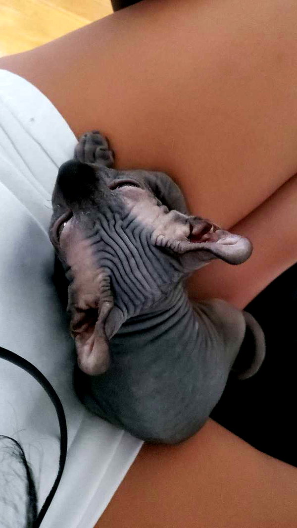 perfexiia snapchat image archive image