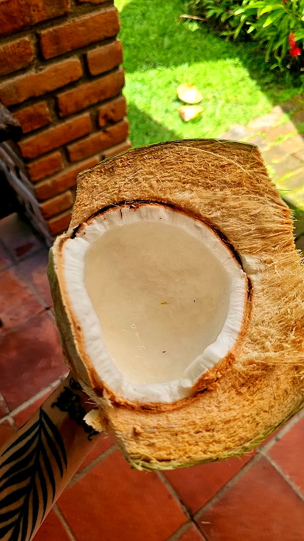 perfexiia snapchat image archive image
