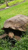 perfexiia Altpins Profile Picture