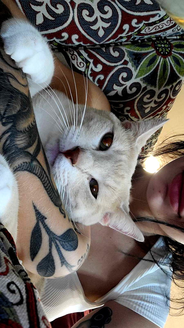 perfexiia snapchat image archive image
