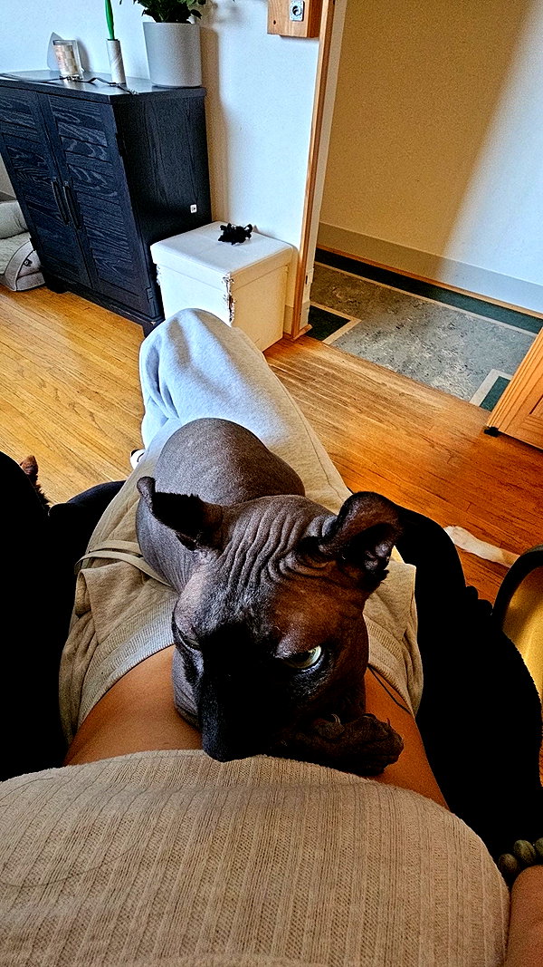 perfexiia snapchat image archive image
