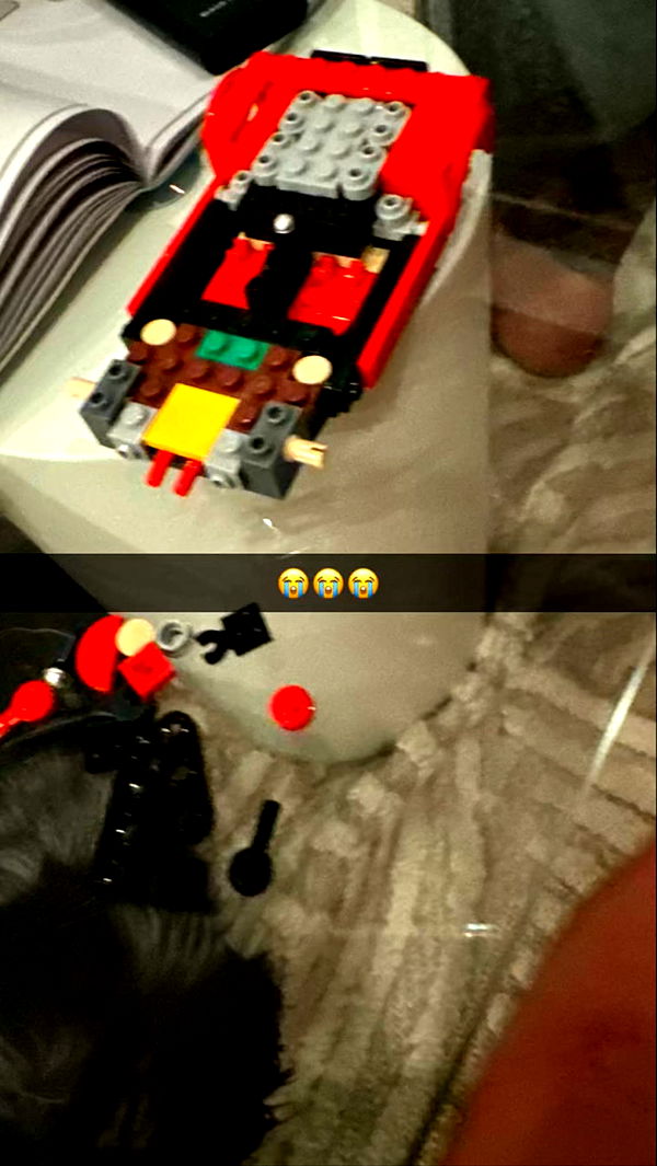 ppwyang0 image ~ Altpins