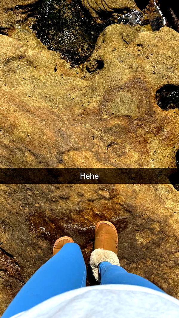 ppwyang0 image ~ Altpins