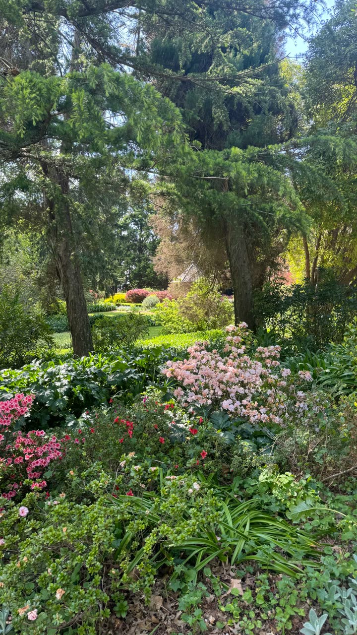 ppwyang0 snapchat image archive image