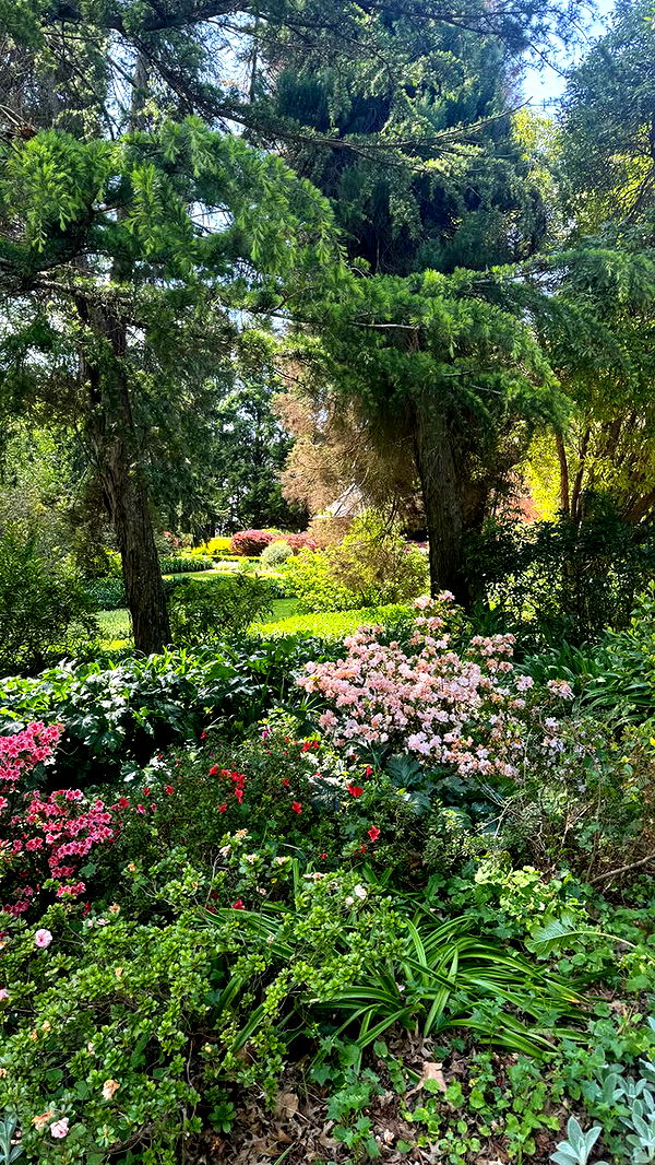 ppwyang0 image ~ Altpins