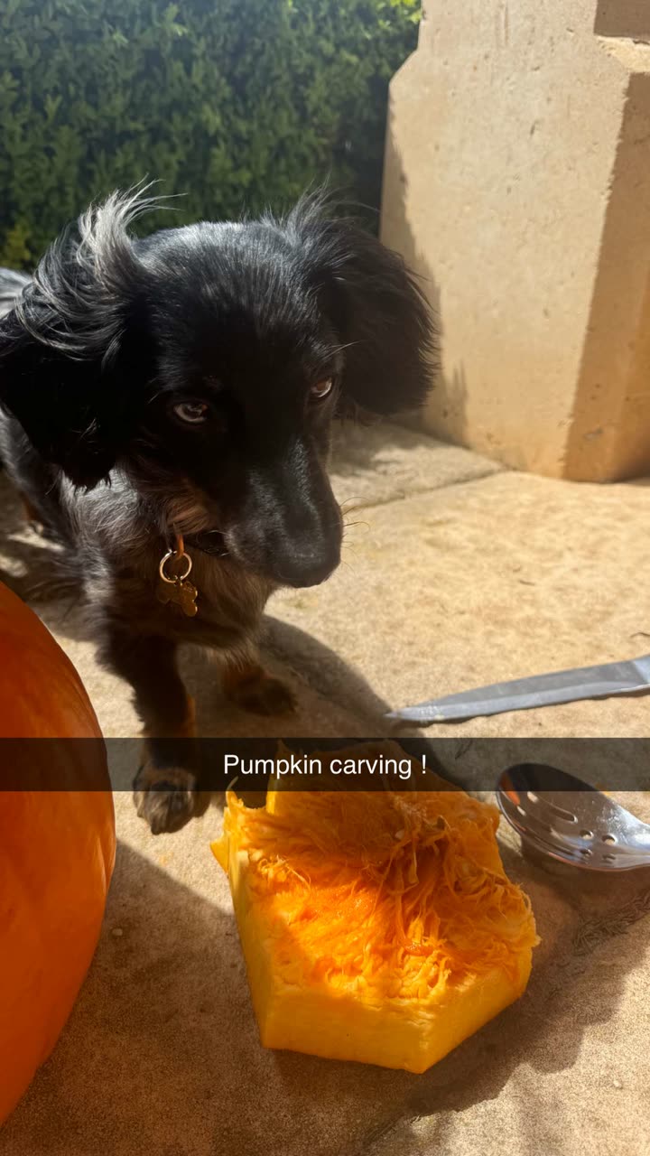 ppwyang0 snapchat image archive image