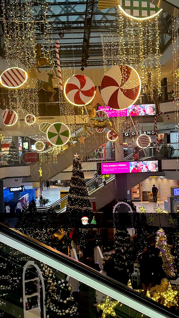 ppwyang0 image ~ Altpins