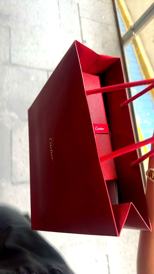 ppwyang0 image ~ Altpins