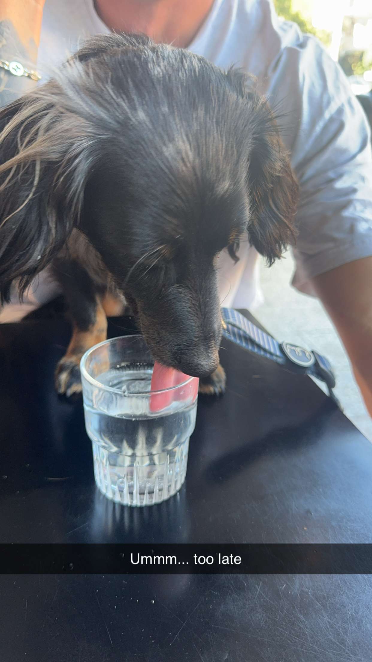 ppwyang0 snapchat image archive image