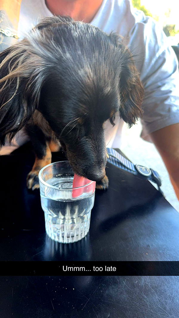 ppwyang0 image ~ Altpins