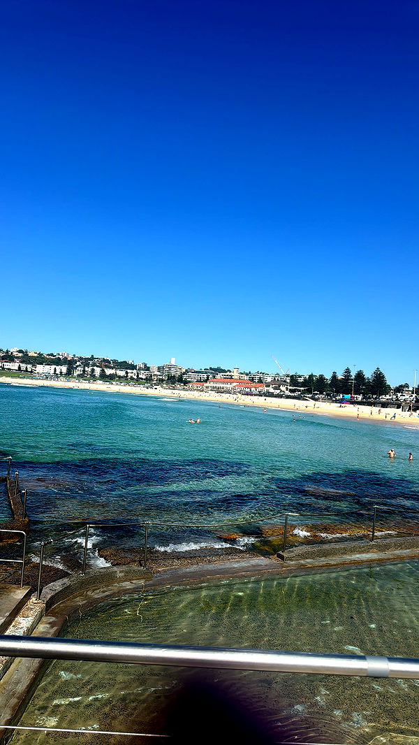 ppwyang0 image ~ Altpins