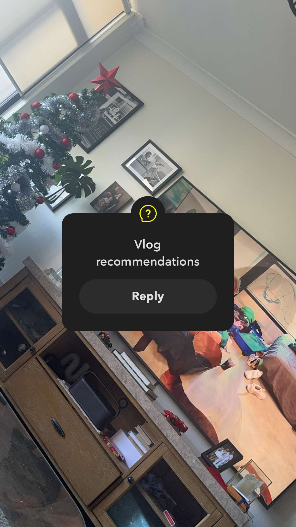 ppwyang0 snapchat image archive image