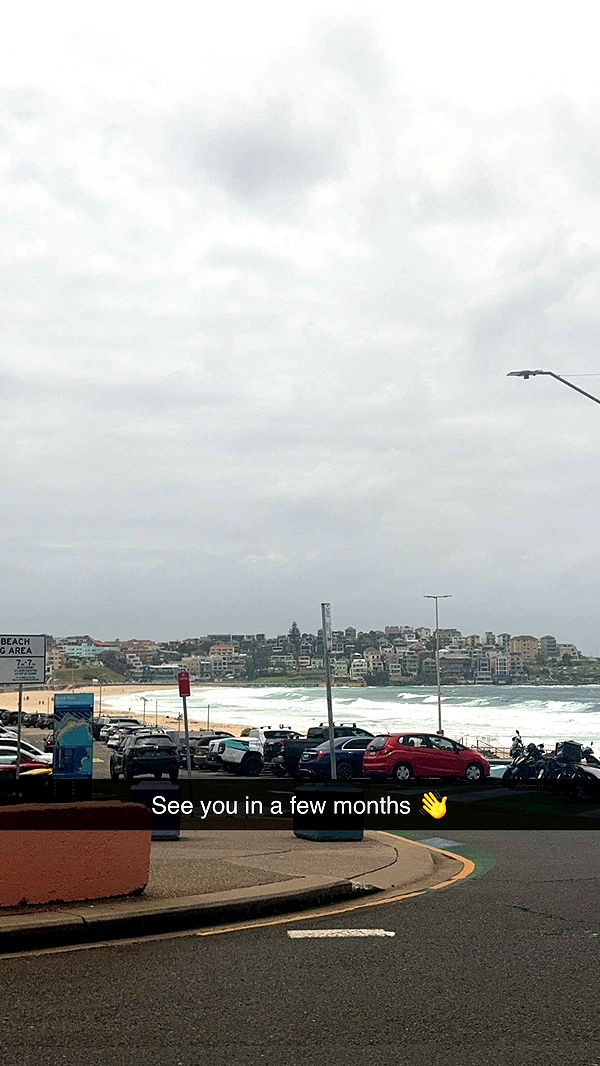 ppwyang0 image ~ Altpins