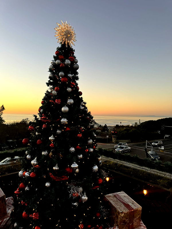 ppwyang0 image ~ Altpins