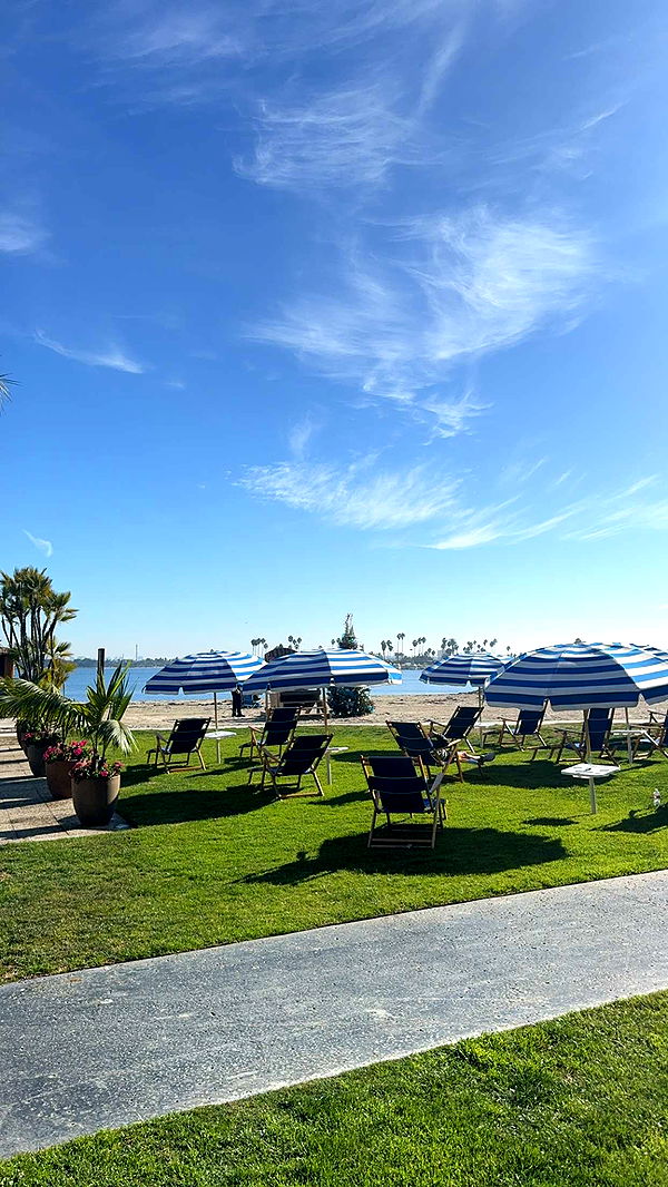 ppwyang0 image ~ Altpins