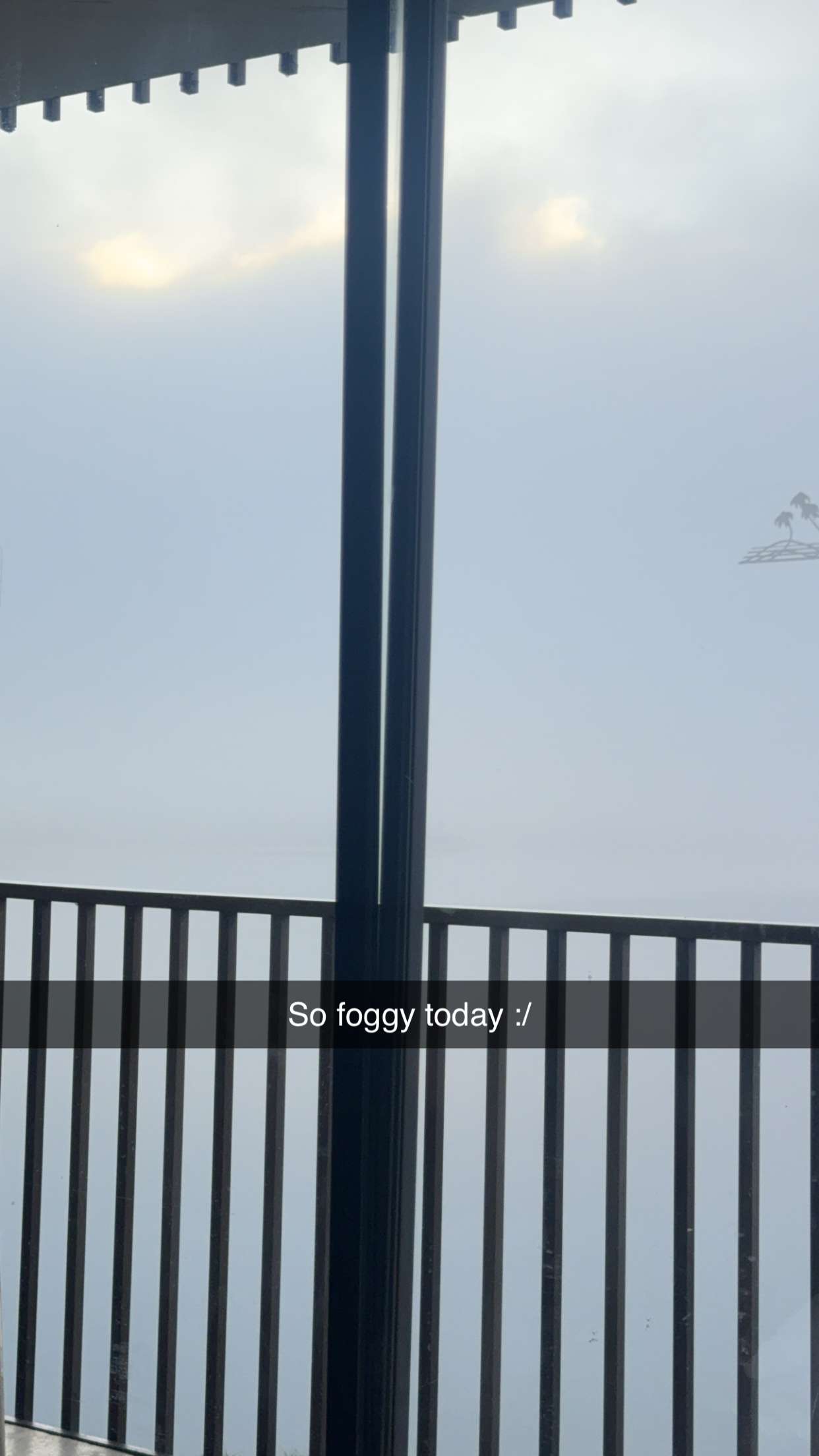 ppwyang0 snapchat image archive image