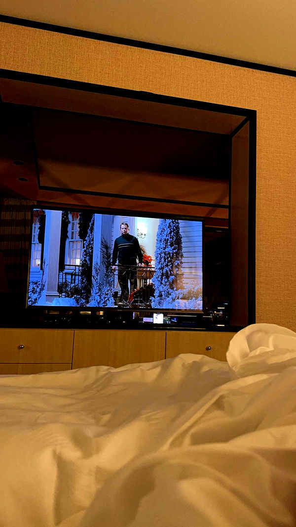 ppwyang0 image ~ Altpins