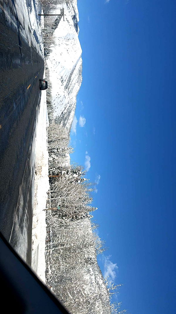 ppwyang0 image ~ Altpins