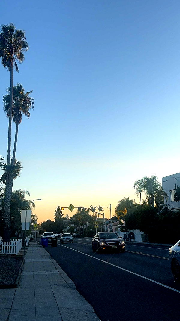 ppwyang0 image ~ Altpins