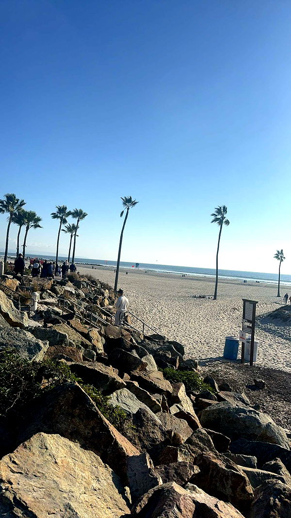 ppwyang0 image ~ Altpins