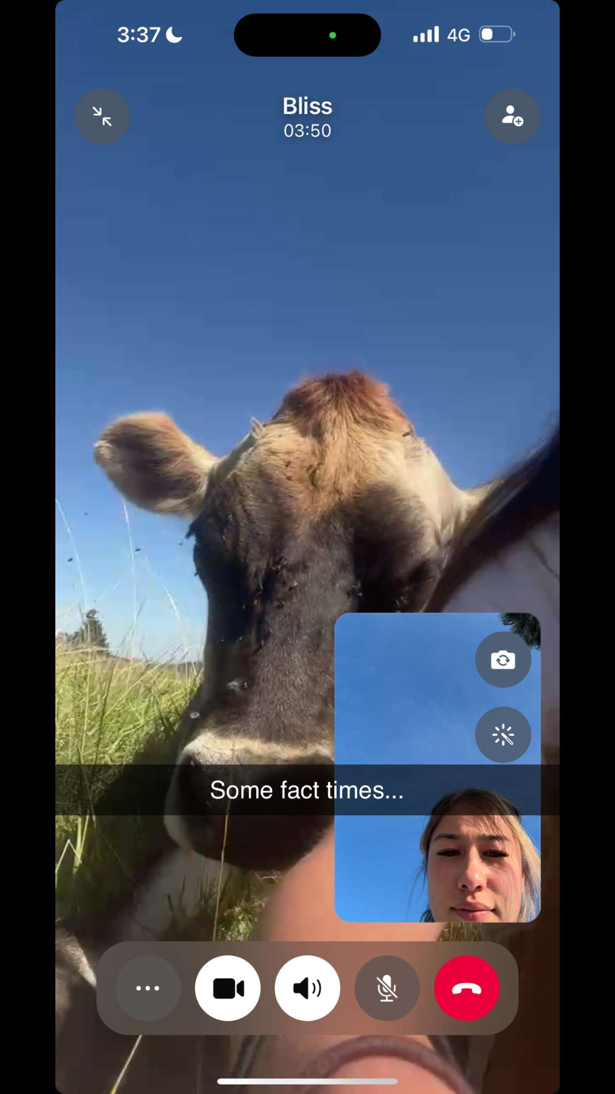 ppwyang0 snapchat image archive image