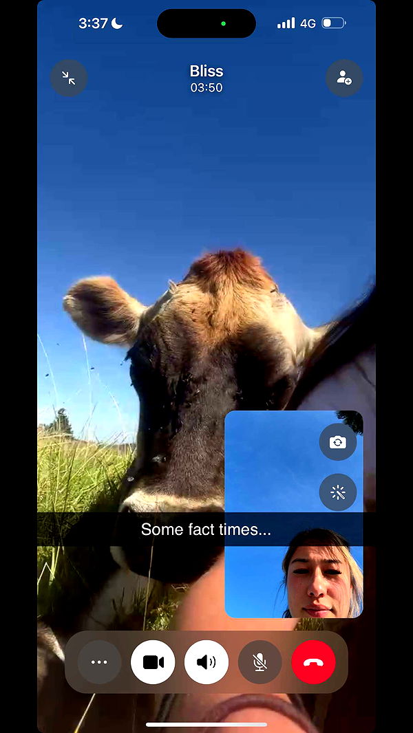 ppwyang0 image ~ Altpins