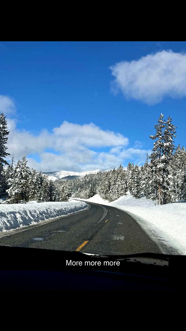 ppwyang0 image ~ Altpins