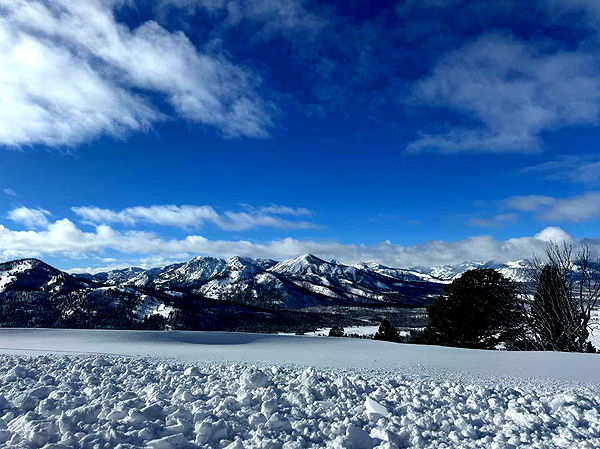 ppwyang0 image ~ Altpins