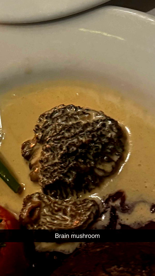 ppwyang0 image ~ Altpins