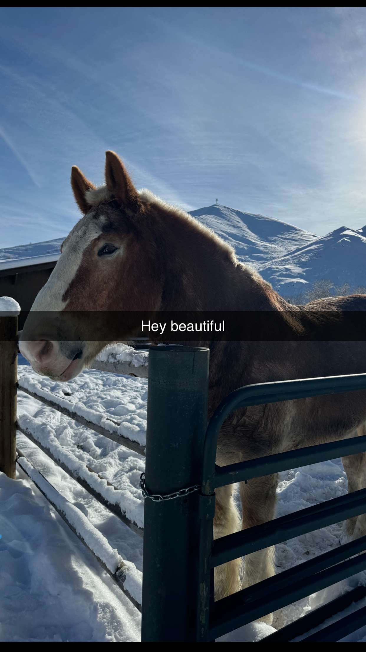 ppwyang0 snapchat image archive image