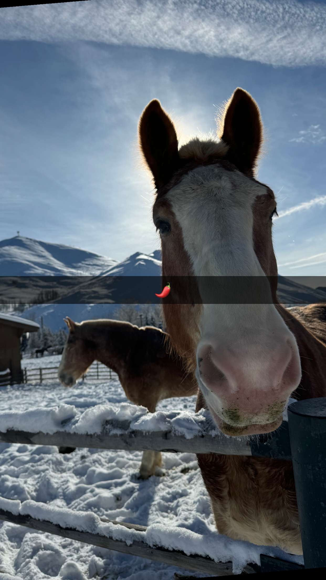 ppwyang0 snapchat image archive image