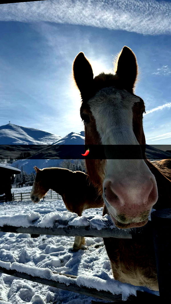 ppwyang0 image ~ Altpins