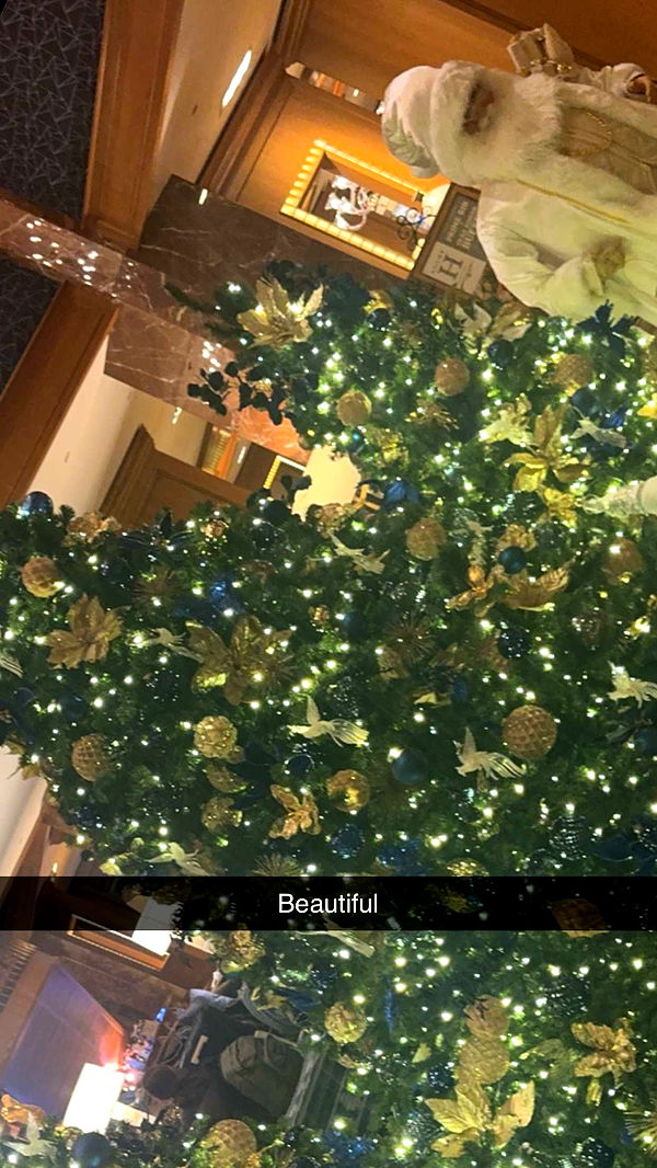 ppwyang0 image ~ Altpins