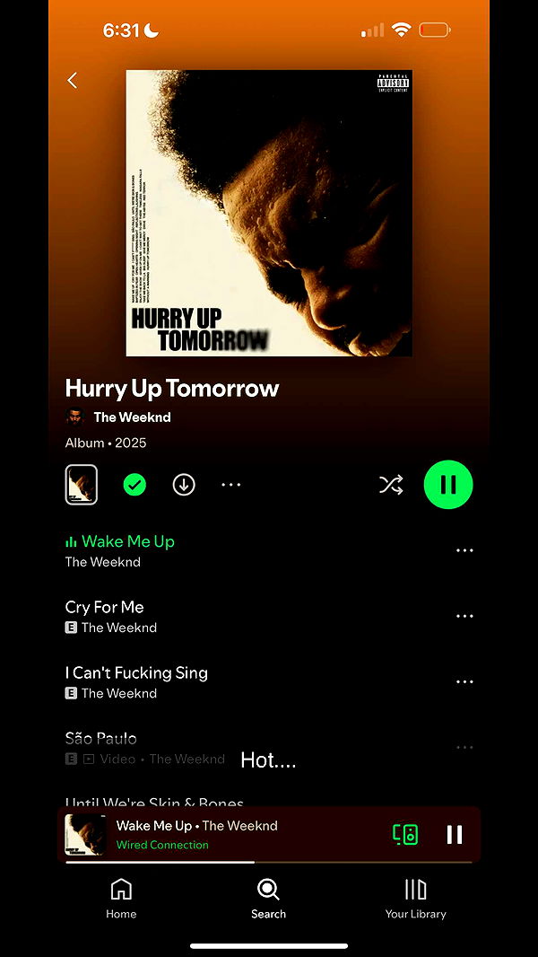 ppwyang0 image ~ Altpins