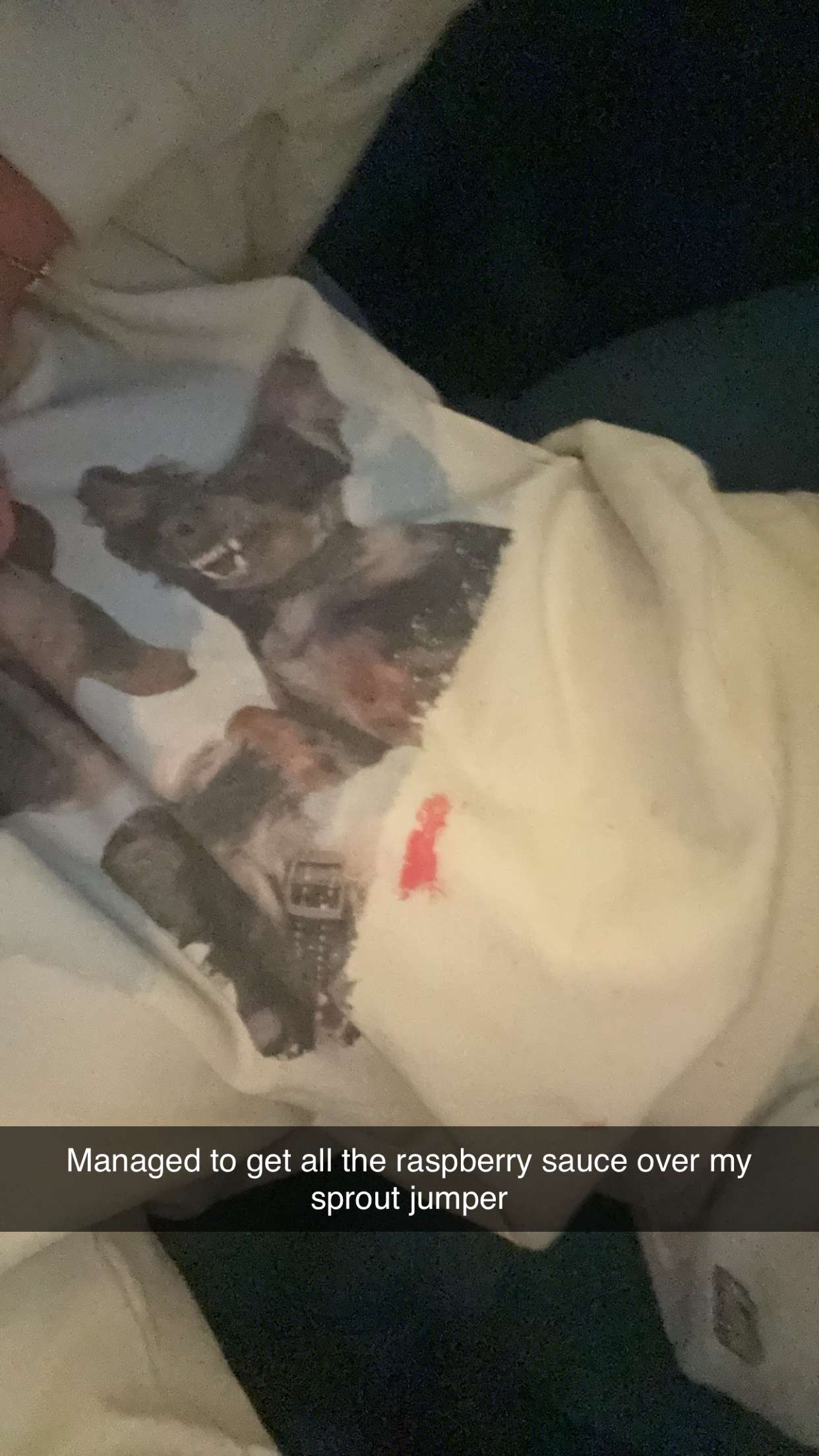 ppwyang0 snapchat image archive image