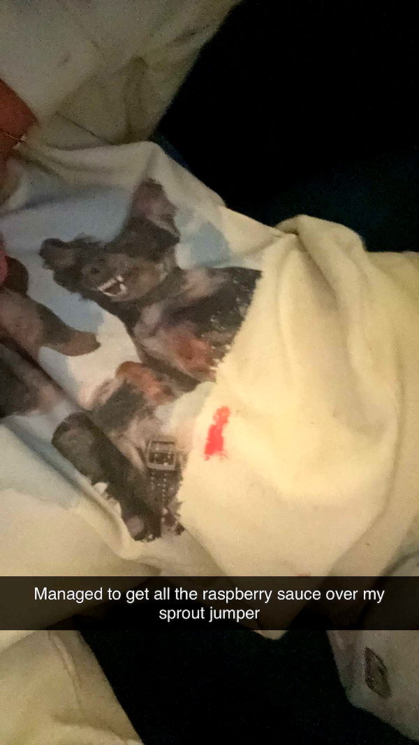 ppwyang0 image ~ Altpins