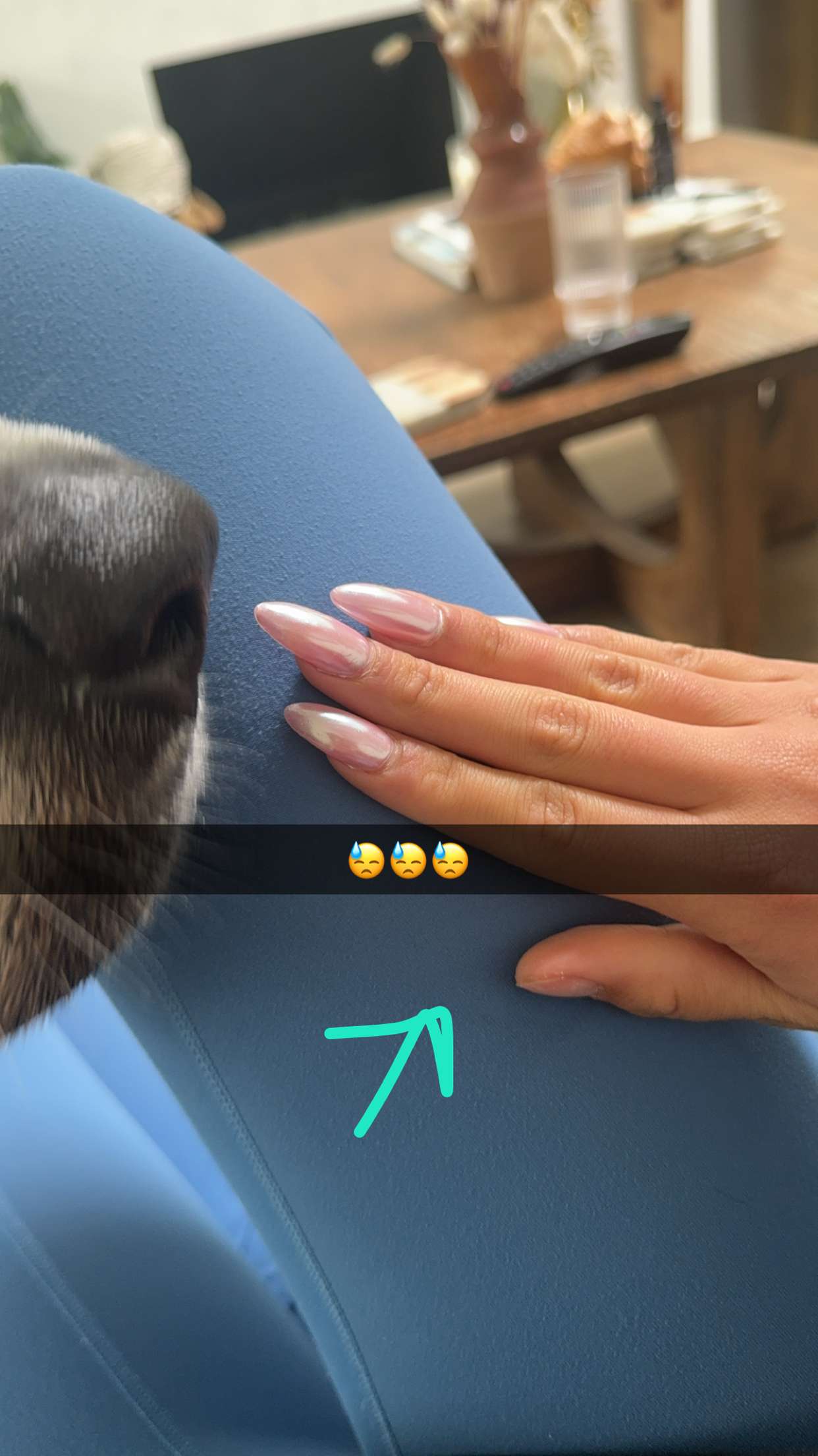 ppwyang0 snapchat image archive image