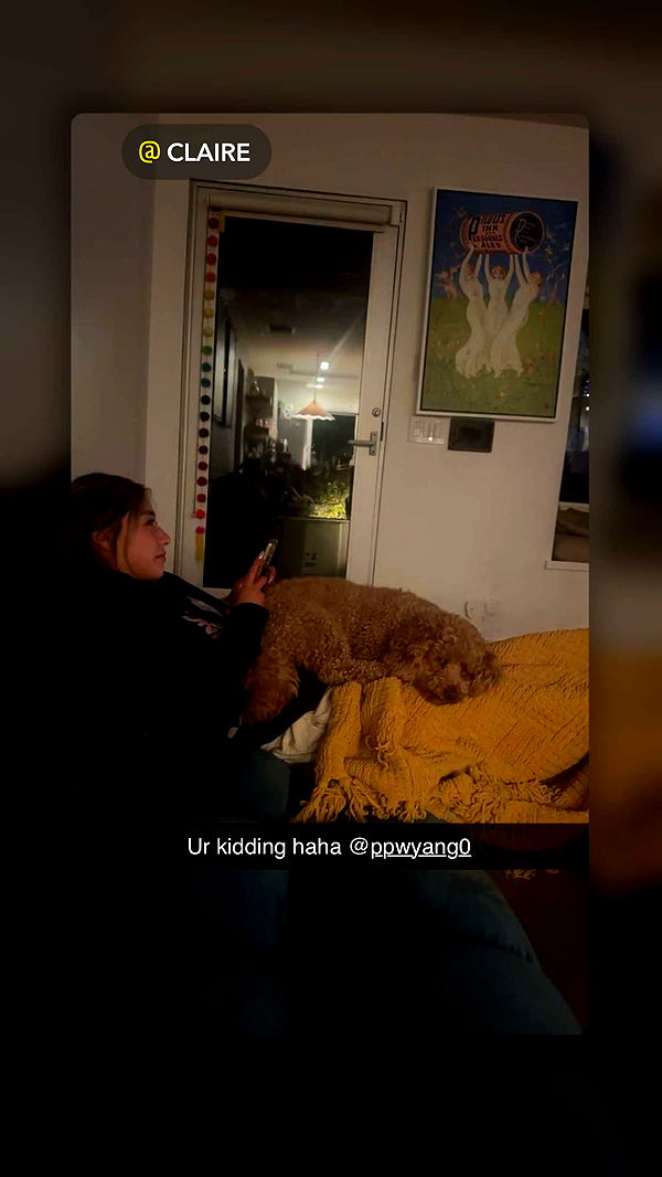 ppwyang0 image ~ Altpins