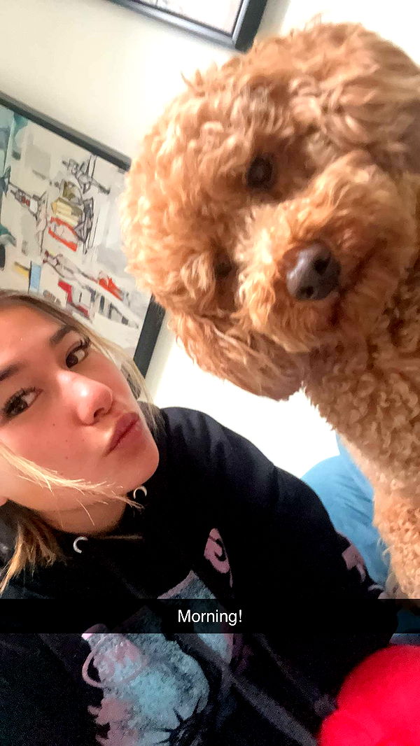 ppwyang0 image ~ Altpins