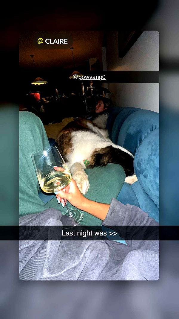 ppwyang0 image ~ Altpins