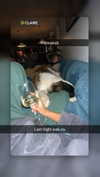 ppwyang0 Altpins Profile Picture